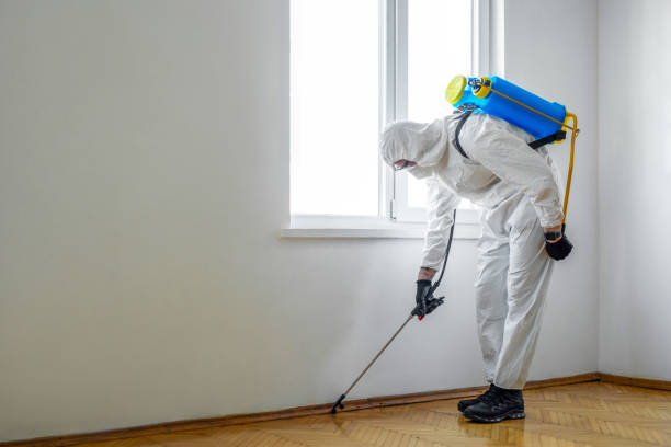 Best Pest Prevention Services  in Edmore, MI